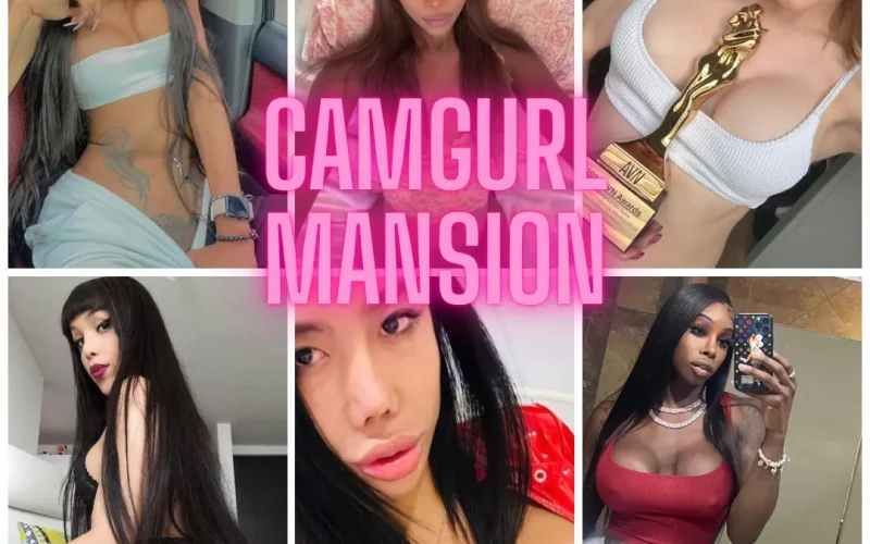 Camgurl Mansion cover 1.2 – HTML adult game by averagehtmlenjoyer free download