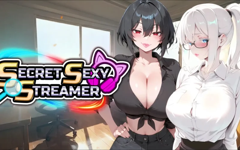 Secret Sexy Streamer cover 1.0 – Unity adult game by Fantasy Games free download