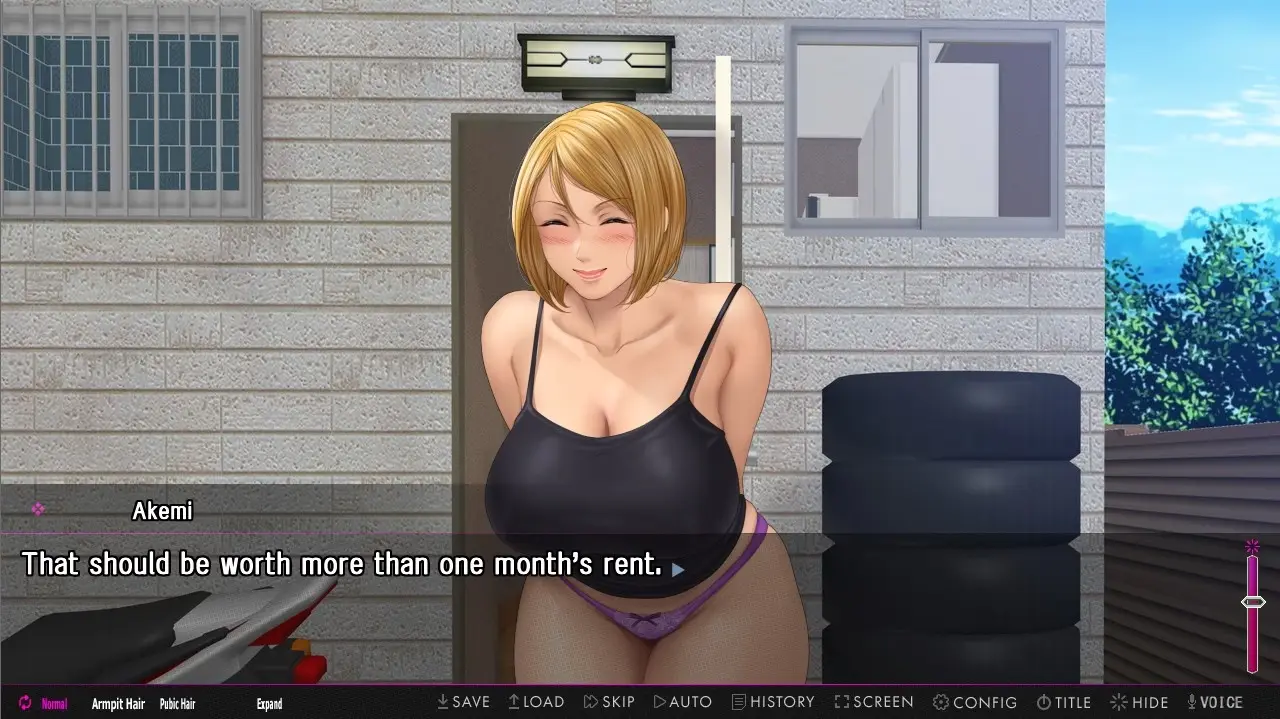 Afternoon Affairs & Helpless Housewives gameplay screenshot 2 (Others adult game) by Studio Pork – free download