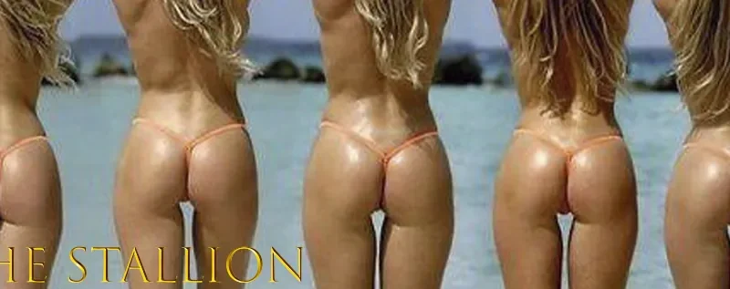 The Stallion cover 0.19 – Ren'Py adult game by Horny Saint free download