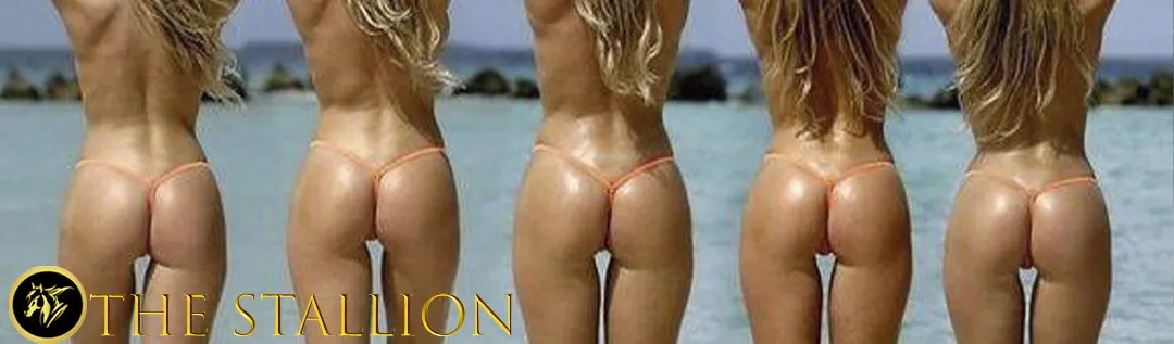 The Stallion cover 0.19 – Ren'Py adult game by Horny Saint free download