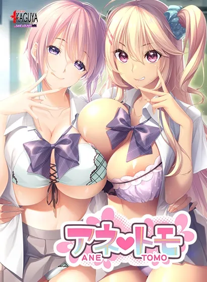 Anetomo cover Final – Others adult game by Atelier Kaguya free download